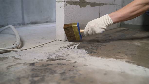 SJ Waterproofing Pros Basement Waterproofing coverage map for Clio, MI and surrounding area